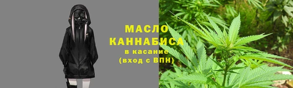 индика Пересвет