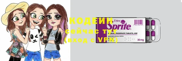 индика Пересвет