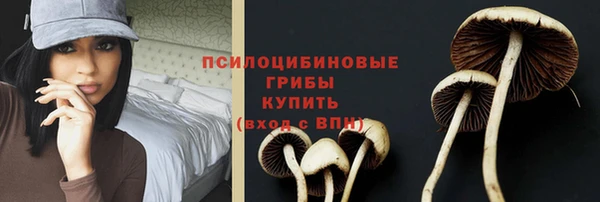 соль ск Пестово