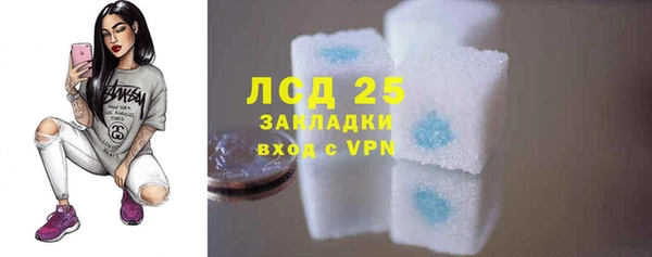 индика Пересвет