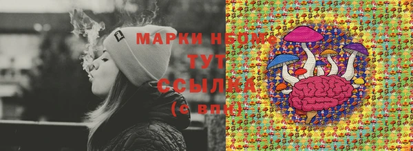 индика Пересвет