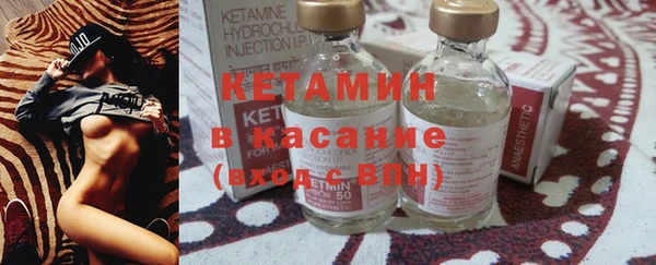индика Пересвет
