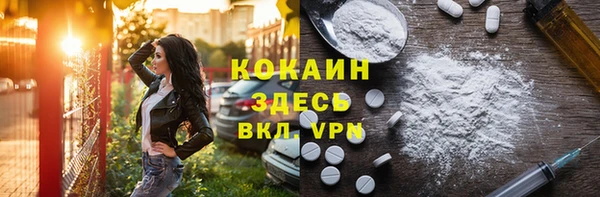 индика Пересвет