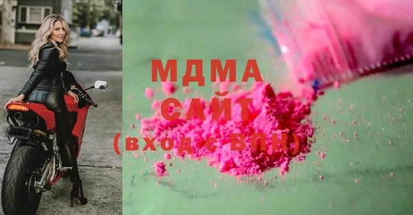 прущие грибы Абинск